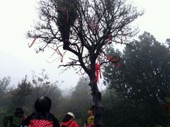 -青州市云门山风景区