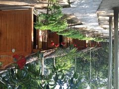 iphone_upload_pic-乡巴佬鼎锅饭