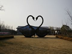 -东平国家森林公园