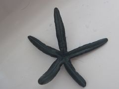 -环滩岛