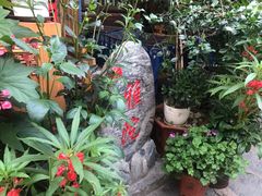 -老宅子私房菜馆(大理古城店)