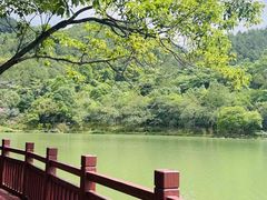 -广州白江湖森林公园