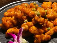 -前海沿·青岛菜(大拇指广场石老人店)