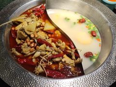 麻辣高汤鸳鸯锅-麻田会 ·鲜活现烹·牛蛙火锅(珠江新城维家思广场店)