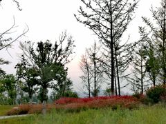 -汉长安城未央宫国家考古遗址公园