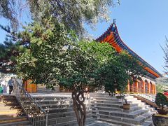 -西宁市东关清真大寺
