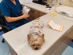 -萌兽医馆·犬猫专科·眼科中心·宠物医院(朝阳门分院)