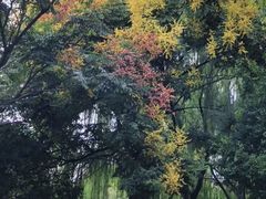 -白塘生态植物园