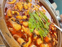 -都江堰石锅鱼