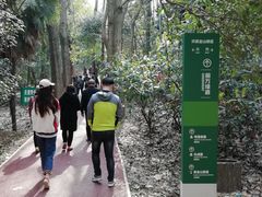 -紫金山天文台