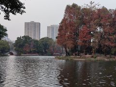 -荔湾湖公园
