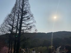 -苏州上方山国家森林公园
