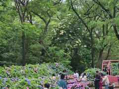 -沈阳植物园