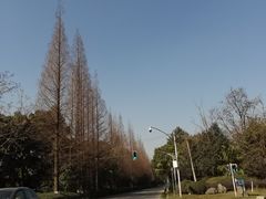 -两河城市森林公园