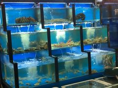 水产区-老东镇啤酒屋海鲜加工·蒸汽海鲜·海鲜烧烤(台东店)