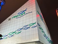 -上海海洋水族馆