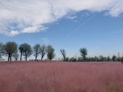 -汉长安城未央宫国家考古遗址公园