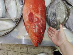-板桥海鲜广场(文明东店)