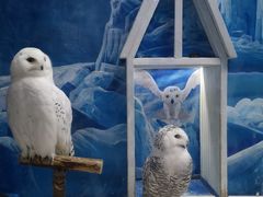 -成都浩海立方海洋公园