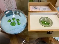 -彩虹桥宠物火化殡葬善终服务(金乐大厦店)