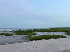 -奉贤海滩