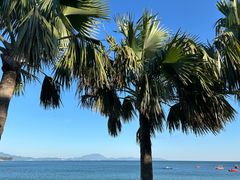 -大梅沙海滨公园