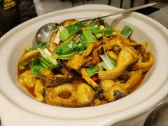 荆沙财鱼-刘胖子家常菜·蹄花焖藕(中南店)