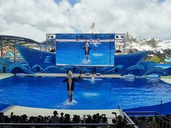 -上海海昌海洋公园