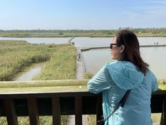 -盐城丹顶鹤湿地生态旅游区