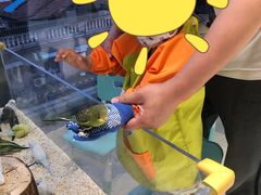 -怪兽屋·羊驼·猫咖·狗咖(俊华广场店)