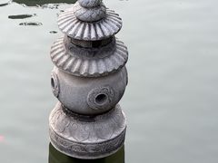 -碧江金楼