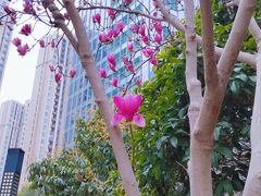 -中铁·中环时代广场