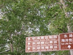 -东湖听涛景区