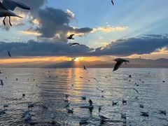 -大理洱海