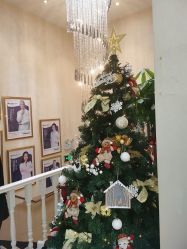 -紫洁俪方（北京）医疗美容