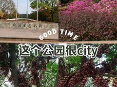 -云溪植物园