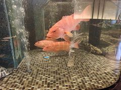 -官也街澳门火锅(新源里店)