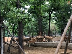 -秦皇岛野生动物园