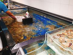 水产区-盒马鲜生(和谐广场店)