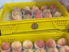 -老袁家蜜桃农场·阳山水蜜桃