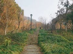 -杭州半山国家森林公园