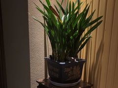 -足本纪·足道 SPA 简餐 小吃(文三西路店)