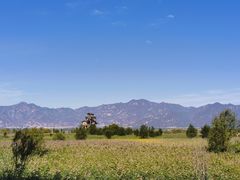 -野鸭湖国家湿地公园
