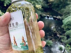 -灵隐飞来峰景区