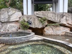 -海口观澜湖火山温泉谷