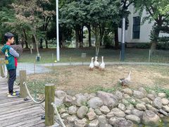 -苏州香山国际大酒店