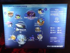 -大连圣亚海洋世界