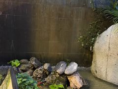 -寇家大院