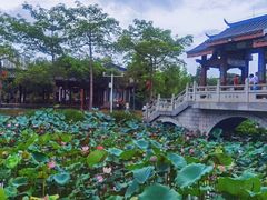 -惠州西湖丰渚园