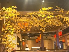 -鸽子窝(青塔店)
